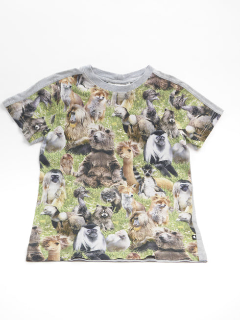Molo - T-shirt (122)